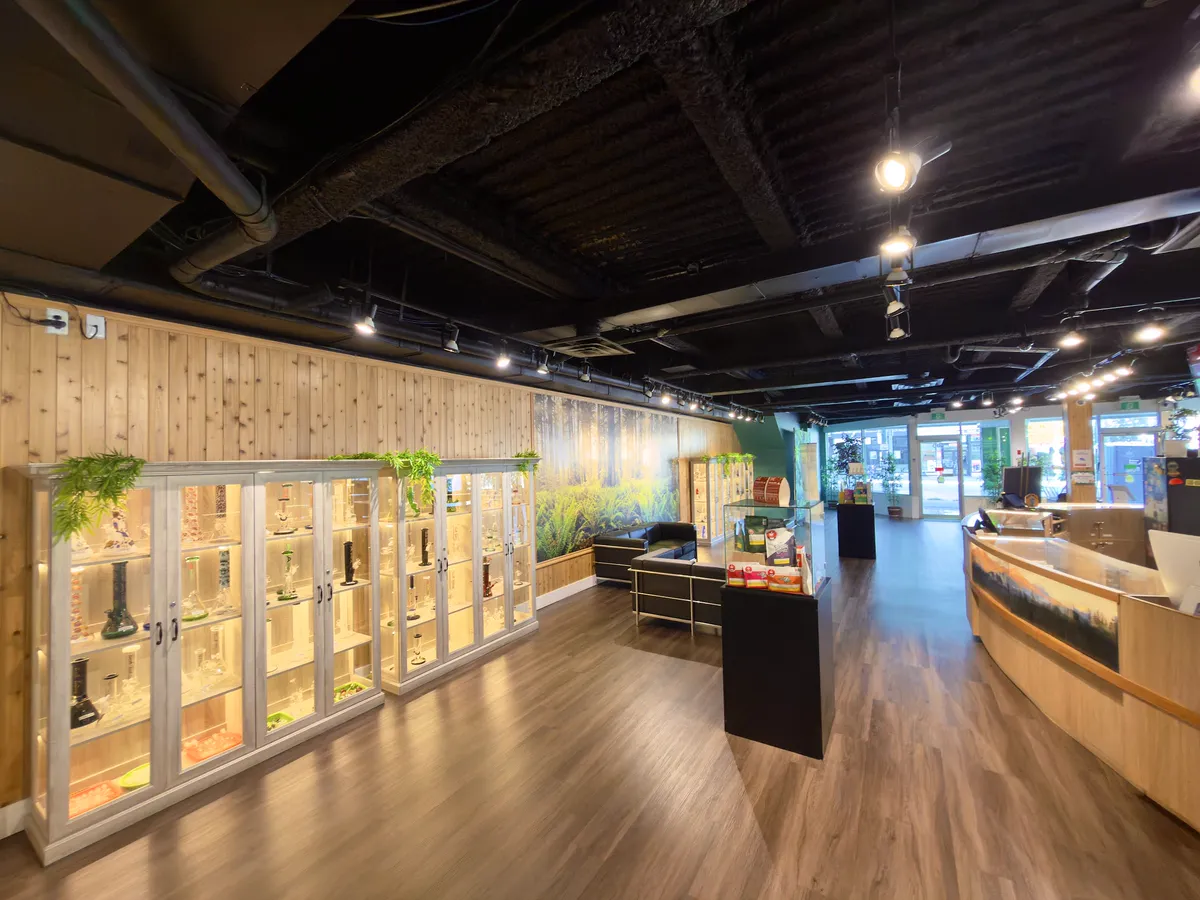 Inside WestCanna Broadway: lit glass cabinets on the cedar wall, the lounge seating and the curved counter.