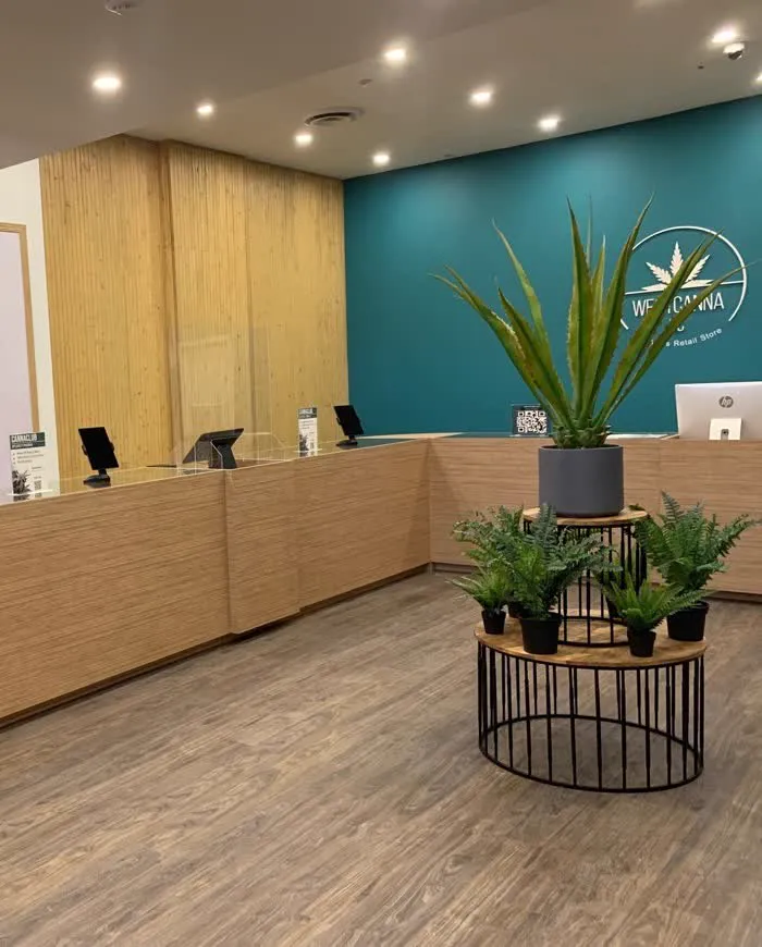 The reception counter at 700 West Broadway: pale wood cabinetry against a teal wall with the WESTCANNA emblem, and a potted aloe on a plant stand. No person is in frame.