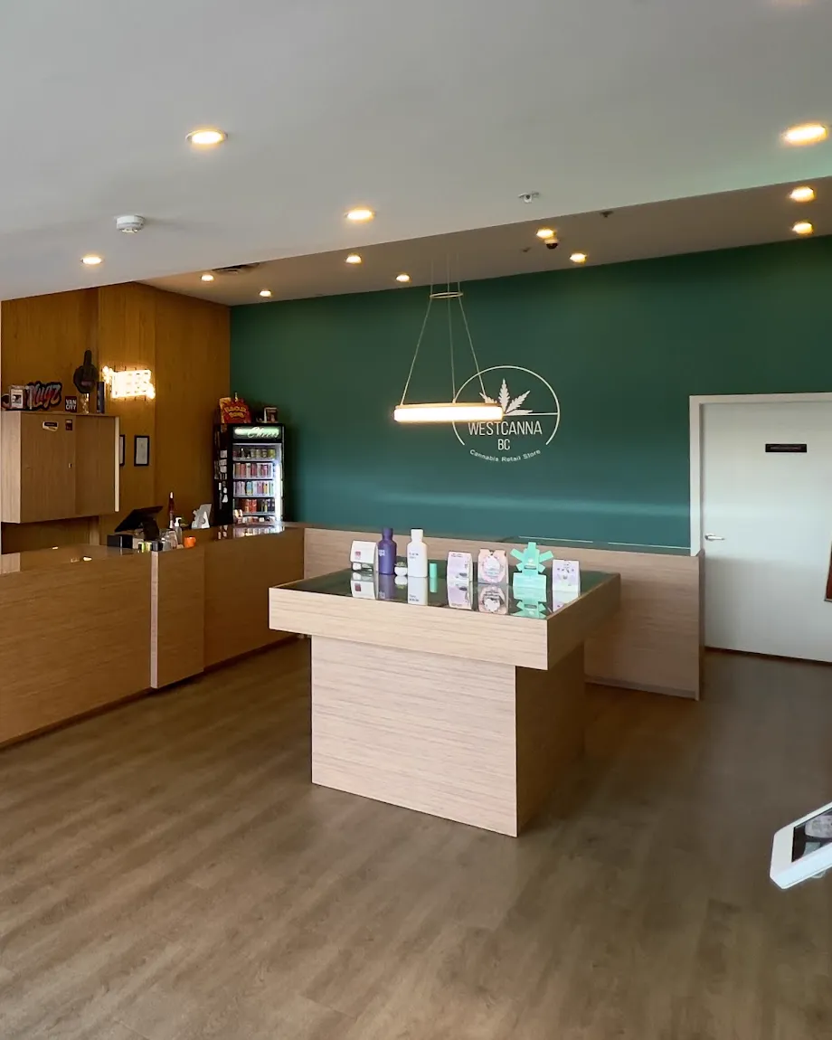 Inside WestCanna Robson: the curved wood counter, a display table and the WESTCANNA pendant light against the green wall.