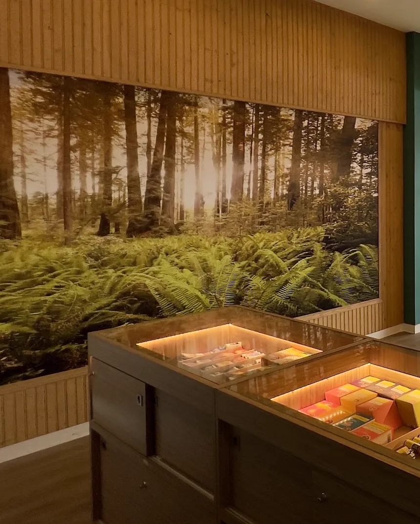 Inside WestCanna Robson: the forest mural above lit glass display counters.