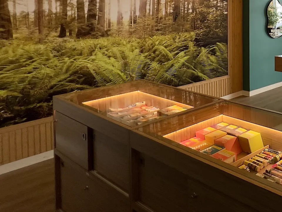 Inside WestCanna Robson: the forest mural above lit glass display counters.