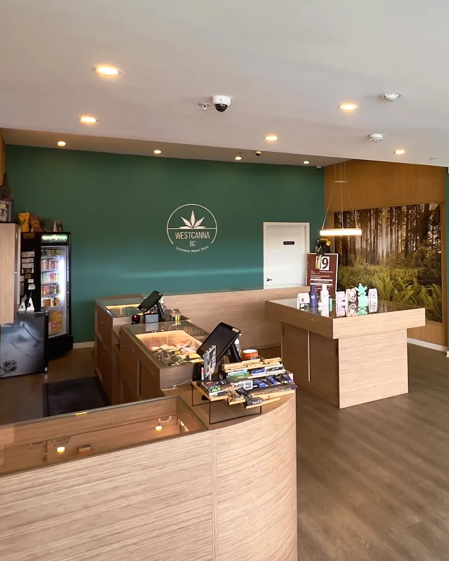 Inside WestCanna Robson: the green wall with the round WESTCANNA BC emblem, the wood counters and a display table.
