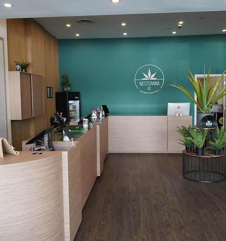 The counter at 1286 Robson Street: pale wood cabinetry against a teal wall with the WESTCANNA emblem. No person is in frame.